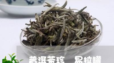 普洱茶珍 易拉罐/2023041087361